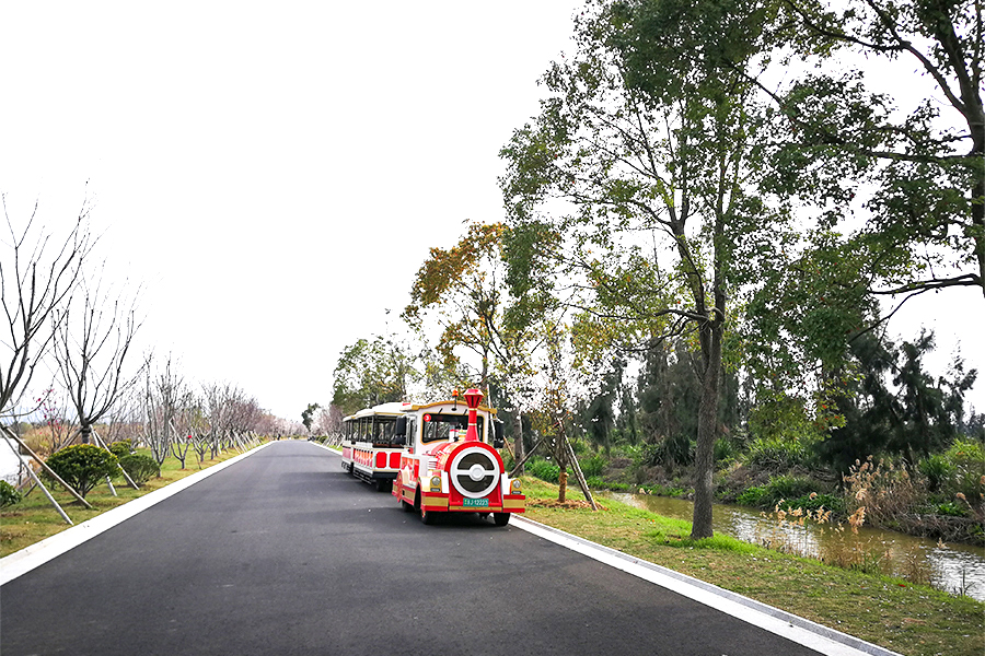 ตู้โดยสารแบบกึ่งปิด 28 ขบวนรถไฟท่องเที่ยวไร้รางขนาดใหญ่ที่สง่างาม