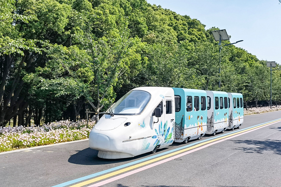 รถไฟชุด EMU park cruise