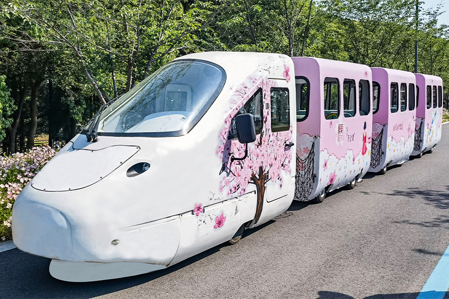 รถไฟชุด EMU park cruise