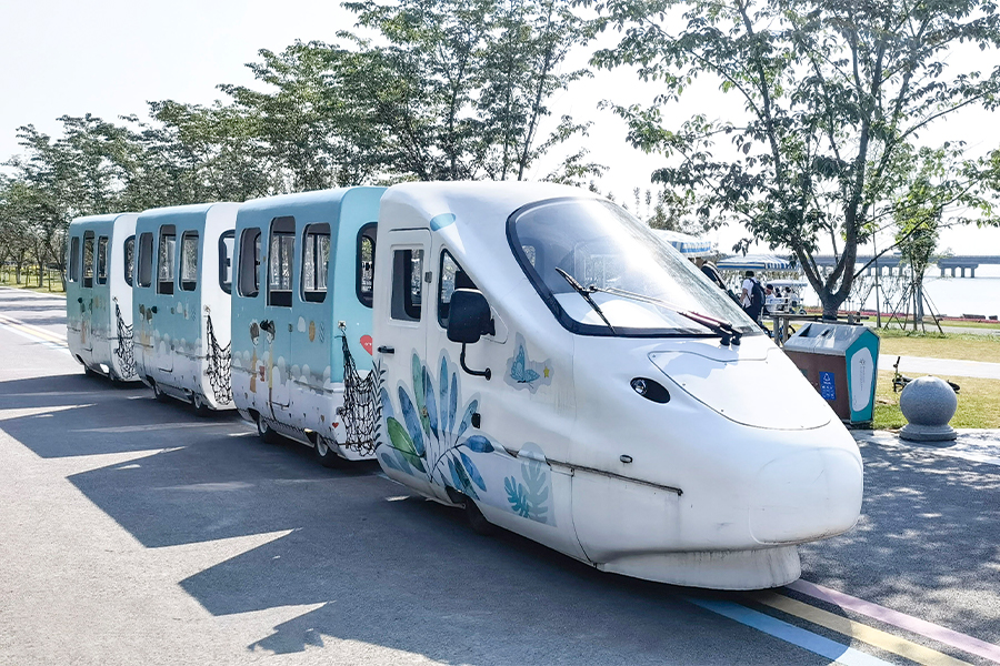 รถไฟชุด EMU park cruise